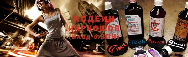 дживик Елизово