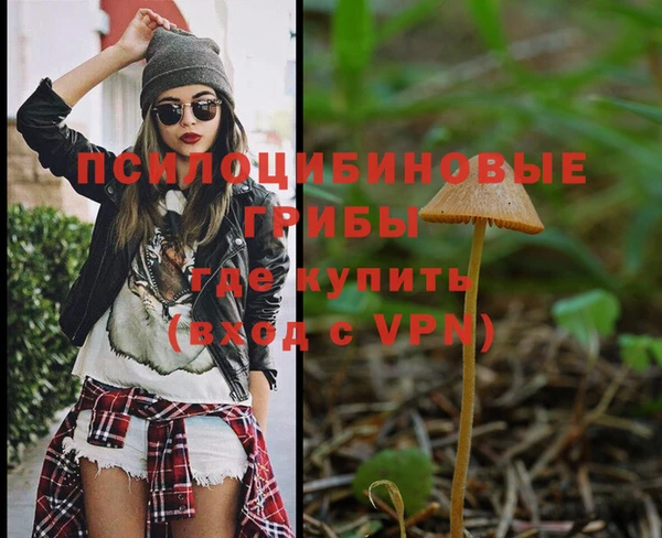 a pvp Елабуга