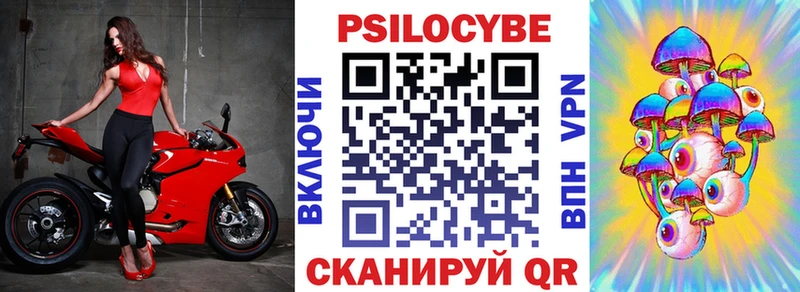 Галлюциногенные грибы Psilocybe Калтан